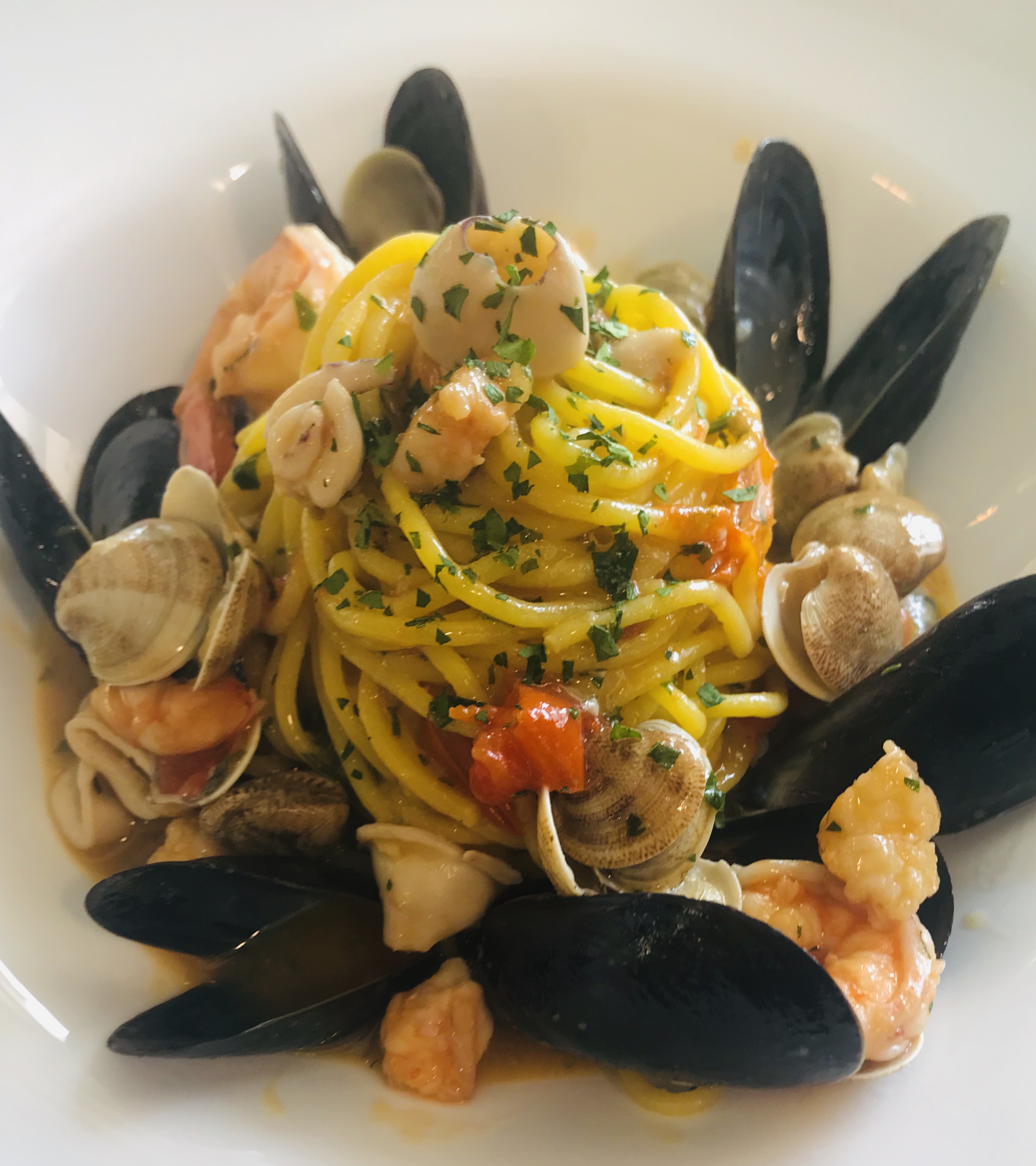 Scoglionato | Spaghetteria n. 5