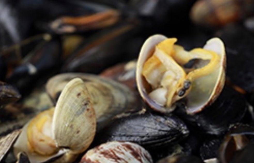 Cozze e vongole alla marinara | La Buongustaia al mare
