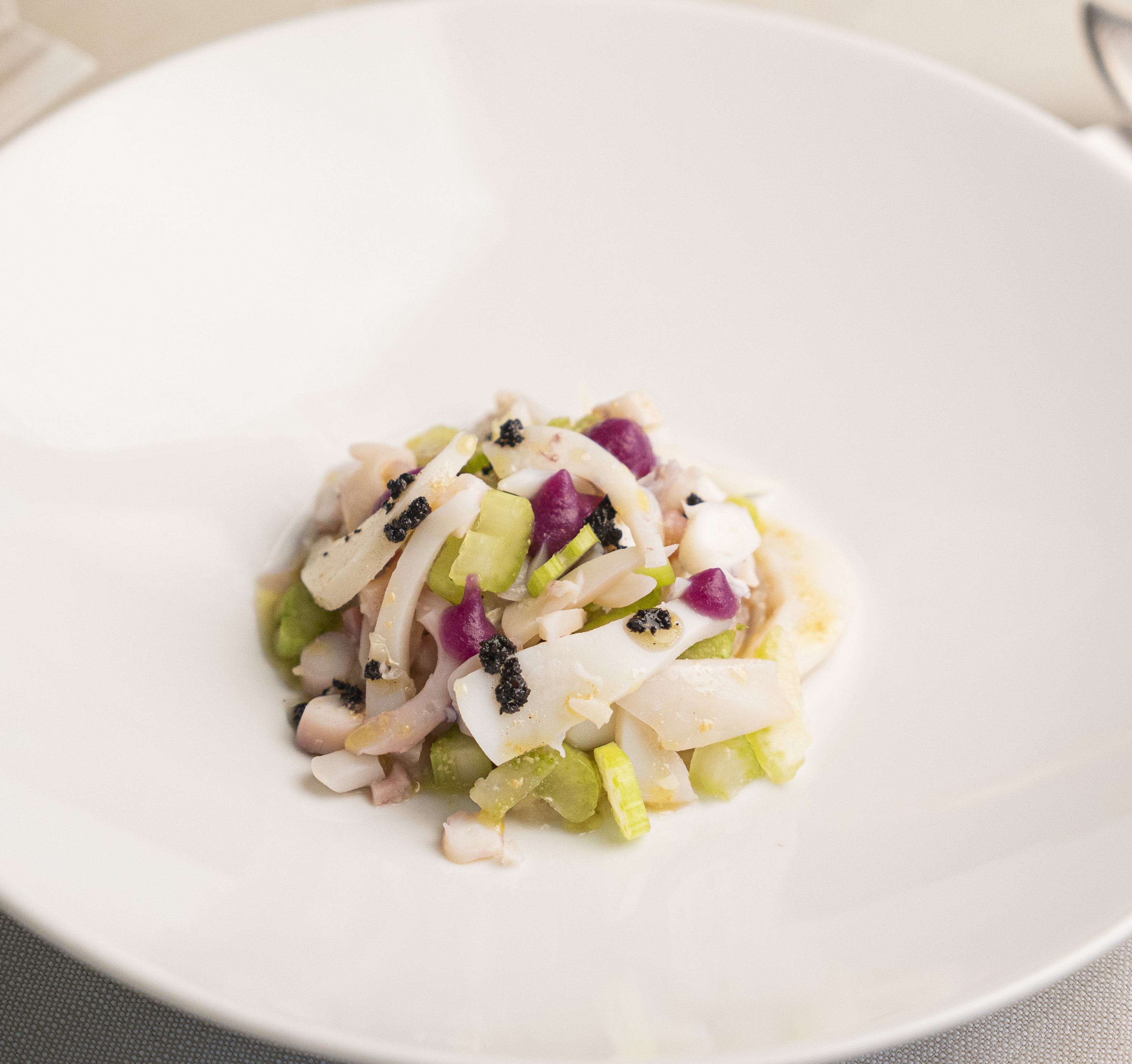 Seppia,topinambur,sedano e pesto di olive | Ristorante Protti