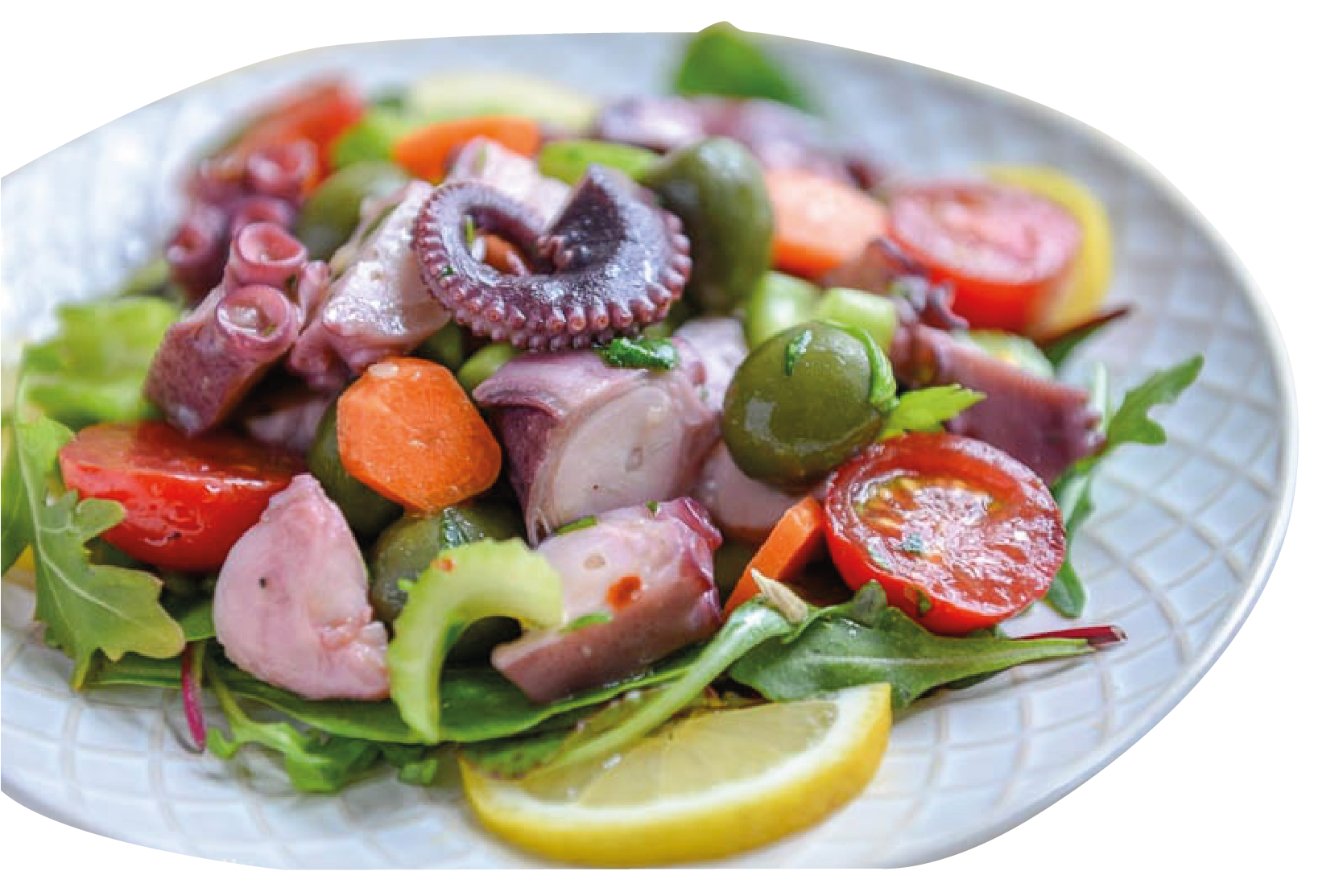Insalata con polpo | Il Vizio Rimini