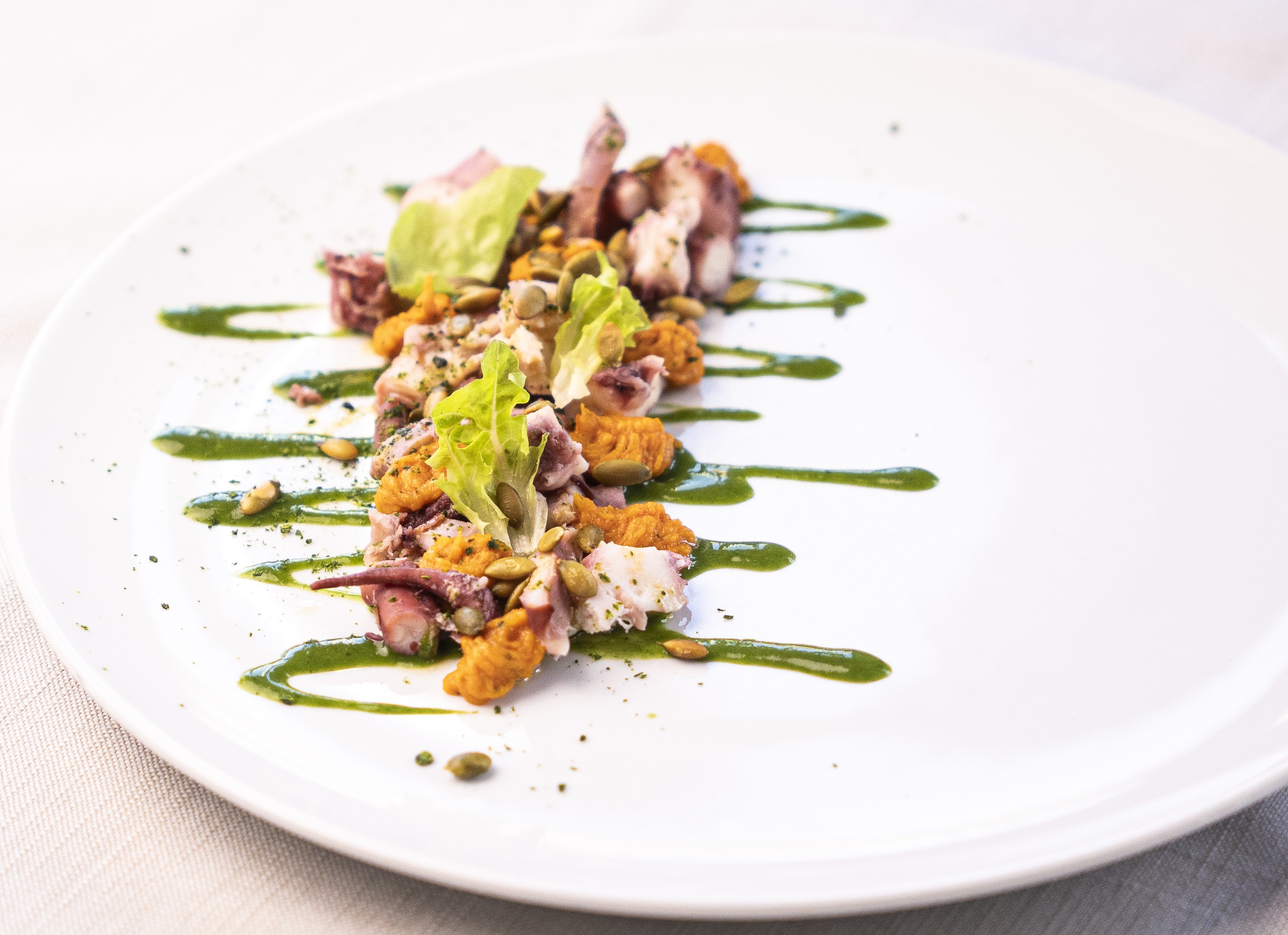 Polipo,zucca,scarola e semi di zucca | Ristorante Protti