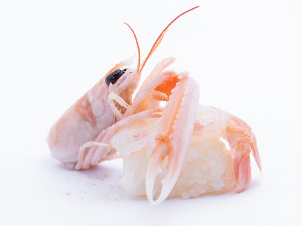 95.NIGHIRI TENAGA 2PZ | Ristorante Anami