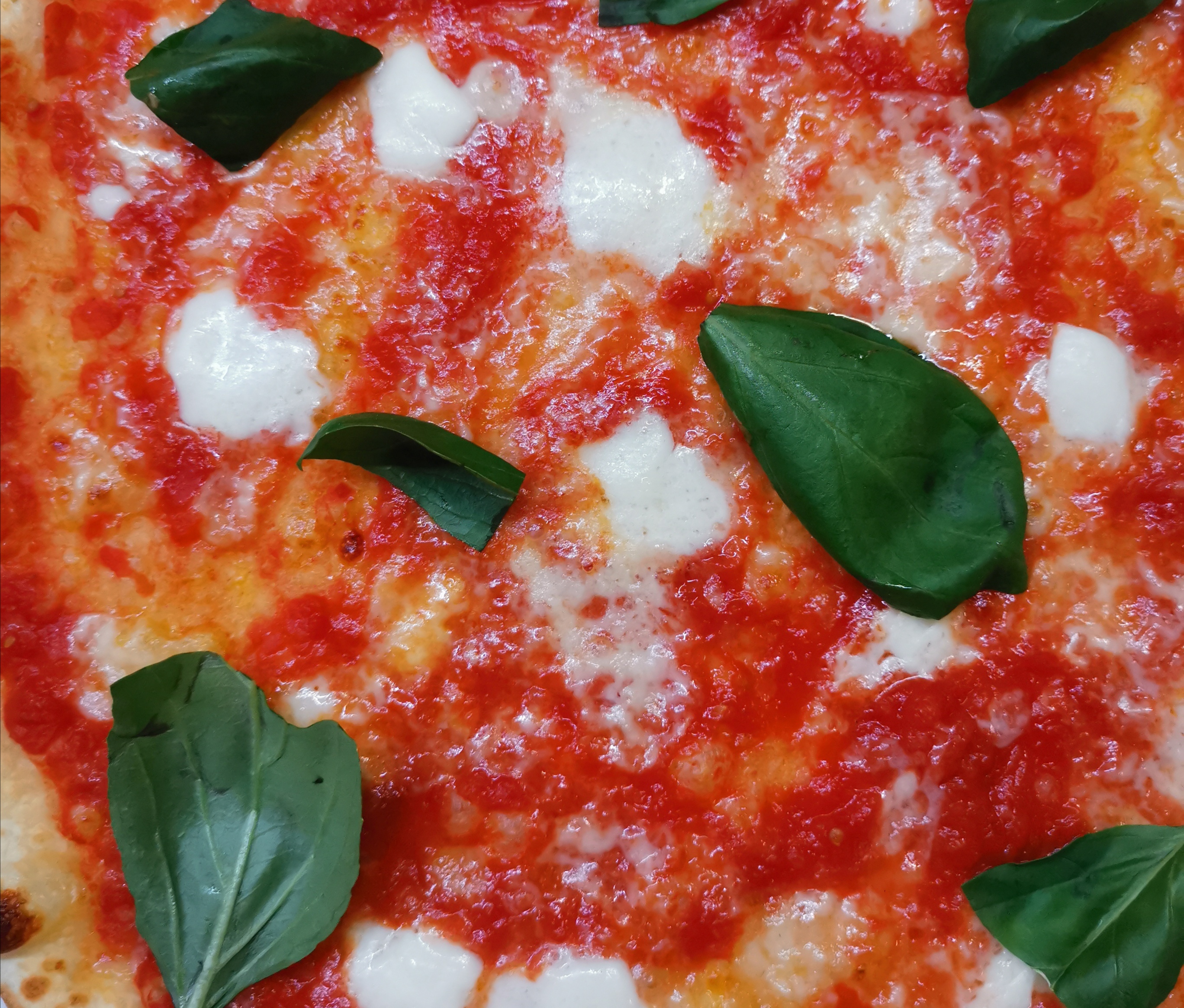 Bufala Normale | Strapizzami Mare 2.0