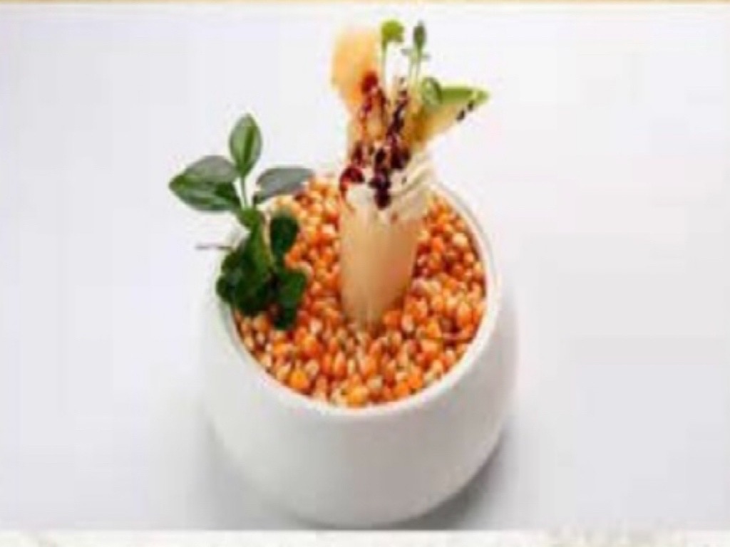 73.CONO EBITEN | Ristorante Anami