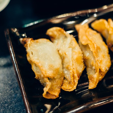 Gyoza Fritti di Verdure | Enzu Pesaro 